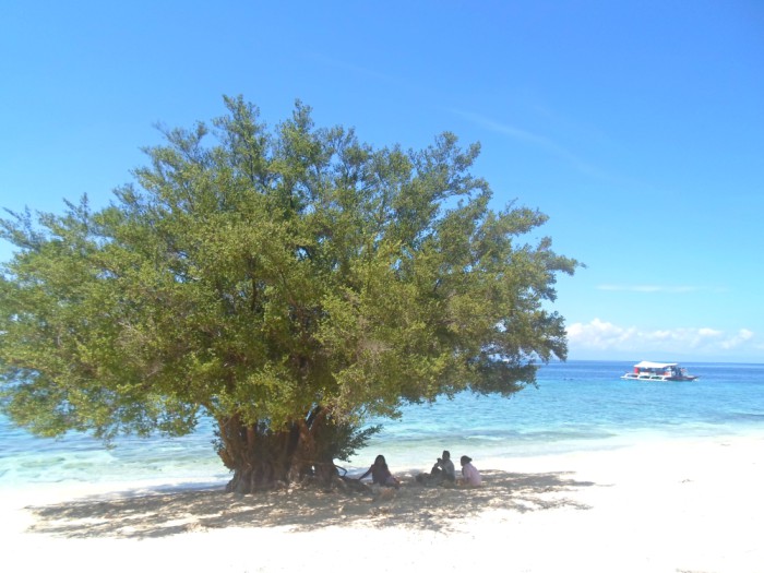 巴利察格岛，Panglao Bohol
